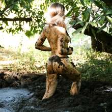 dlodoski: Shane D, Teasing Us in the Peat--Photos