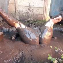 Darkabyss445: Muddy Jersey, Lingerie and Socks Orgasmic Fantasy