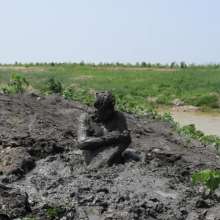 RyuuWammer: Painted Then Muddy