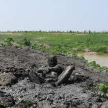 RyuuWammer: Painted Then Muddy