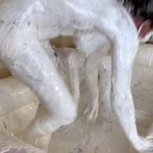 RevSlymsford: Ref Alison Pulled In Too: 3 Girl Marshmallow Fun + Stripping
