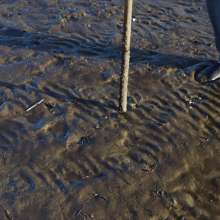 Jumpoff_Joe: Stick in the Mud