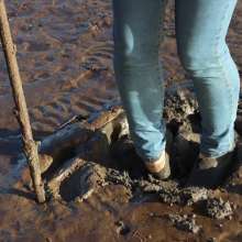 Jumpoff_Joe: Stick in the Mud