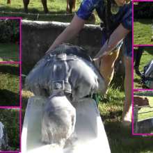 LiquidX: The Messyworld Summer Games: Hannah Vs Jenni 02