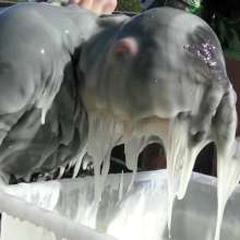 LiquidX: The Messyworld Summer Games: Hannah Vs Jenni 03