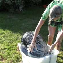 LiquidX: The Messyworld Summer Games: Hannah Vs Jenni 03