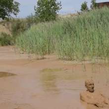 RyuuWammer: The Mud Pool