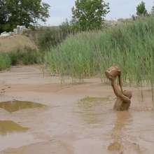 RyuuWammer: The Mud Pool