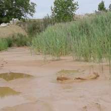 RyuuWammer: The Mud Pool