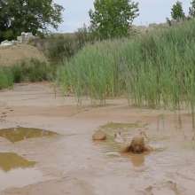 RyuuWammer: The Mud Pool