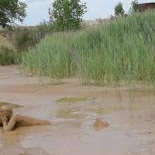 RyuuWammer: The Mud Pool