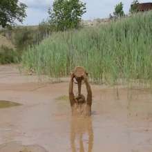 RyuuWammer: The Mud Pool