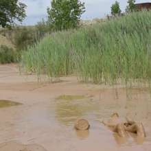 RyuuWammer: The Mud Pool