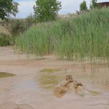 RyuuWammer: The Mud Pool