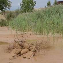 RyuuWammer: The Mud Pool