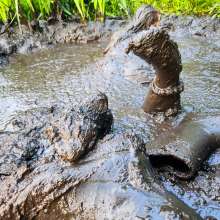 MelonieNosha: Thicc in the Mud