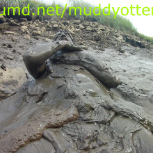 MuddyOtter: 
