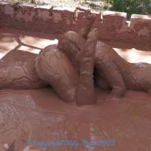 Dirty Muse: Vika and Indica Part #2--Hoa Inspector