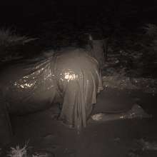 Swamp Angel: 80 Infrared Mud Mini Skirt