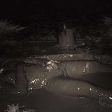 Swamp Angel: 80 Infrared Mud Mini Skirt