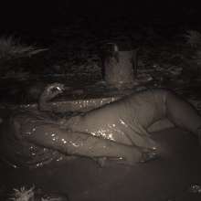 Swamp Angel: 80 Infrared Mud Mini Skirt