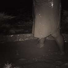 Swamp Angel: 80 Infrared Mud Mini Skirt