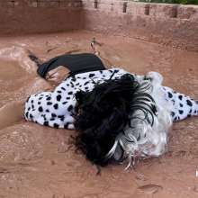 Messygirl: New Messygirl Download: Mud Covered Cruella