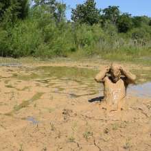 RyuuWammer: Found a new quarry with waste deep and deeper clay, video soon