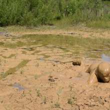 RyuuWammer: Found a new quarry with waste deep and deeper clay, video soon