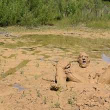 RyuuWammer: Found a new quarry with waste deep and deeper clay, video soon