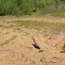 RyuuWammer: Found a new quarry with waste deep and deeper clay, video soon