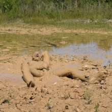 RyuuWammer: Found a new quarry with waste deep and deeper clay, video soon