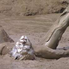 FOXY: Painted silver and dipped in mud