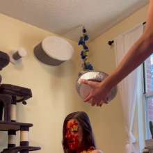 Slimed Models: Kaitlyn Pied and Pink Slimed Naked