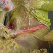 RevSlymsford: Lottie Lalay Gets Pies, Yoghurt, Custard +, At TV Audition