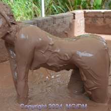 Dirty Muse: 