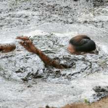 dlodoski: Andrea Exploring a Peat Pit with Drama, Ultimate Edit--Photos