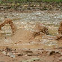 dlodoski: Jane's Deep Mud Arousal, Ultimate Edit--Photos