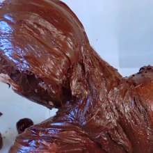 Larzstord: Nikki's Chocolate Hair and Nude Body Coverage