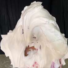 RevSlymsford: Siobhan's Revenge: Cynthia Gets 50 Pie Barrage: Ends Naked