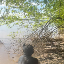 Daddydirtydog: First Mud pup vid
