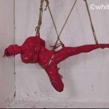 whiteroomberlin: The Bondage Files