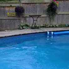 Wet Orchid: Wet Jennie's First Fully-Clothed Pool Swim of 2024 Summer