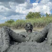 Goonology: Manic for Mud Pies!
