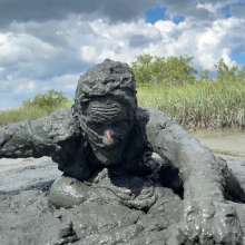 Goonology: Manic for Mud Pies!