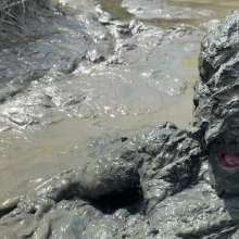 Goonology: Manic for Mud Pies!