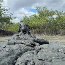 Goonology: Manic for Mud Pies!