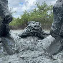 Goonology: Manic for Mud Pies!