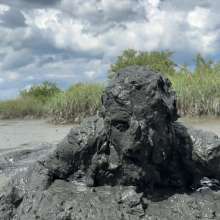 Goonology: Manic for Mud Pies!