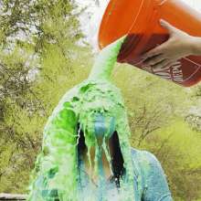 East Coast Slime: Brittany